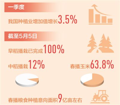 全国春播进度快于往年 粮仓更稳固 菜篮更丰富