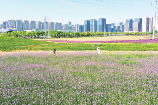 未標題-1