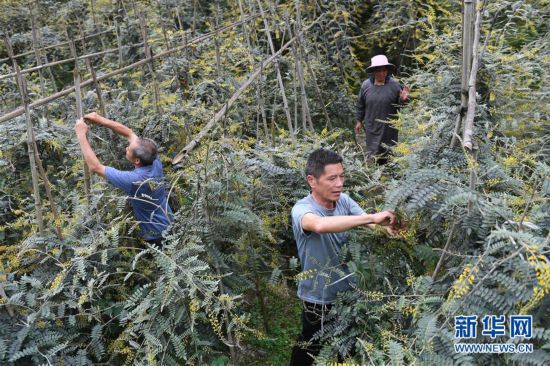 （脫貧攻堅）（7）我國毛南族實現整族脫貧