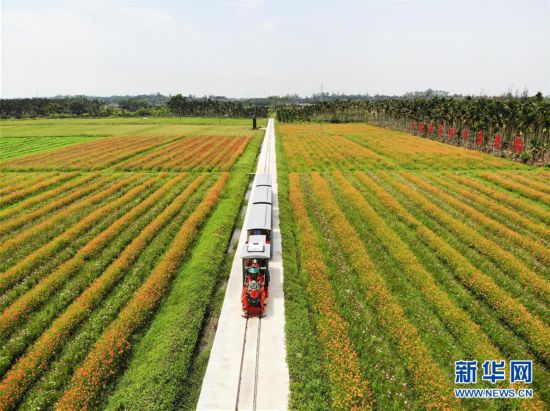 海南,琼海,农旅,结合,助推,乡村,振兴,原,标题, . 海南琼海：农旅结合助推乡村振兴