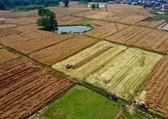 #�����ã���12������ũæ