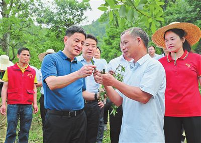 李新元：發展鄉村特色產業 創造更加幸福的生活