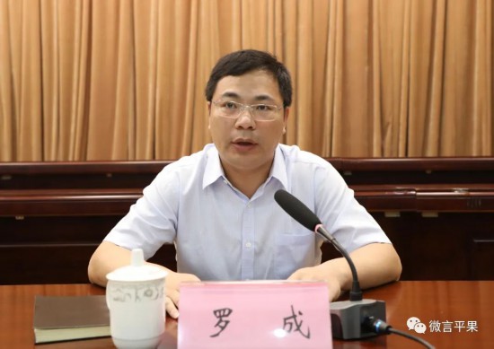 平果市委副书记,市人民政府代市长罗成讲话