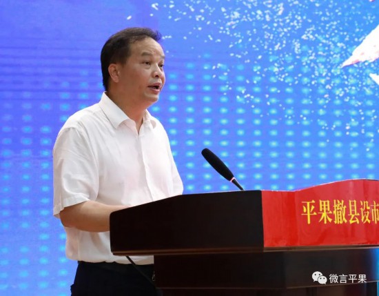 百色市人大常委会副主任,平果市委书记黄志愿致辞