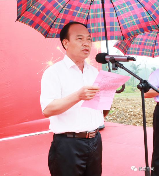 平果要闻      开工仪式上,百色市人大常委会副主任,平果市委书记