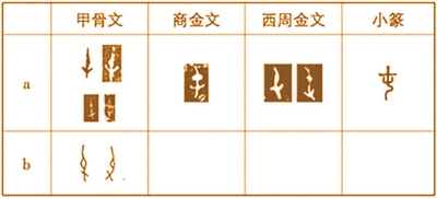 一"蠢"值十万古文字学者蒋玉斌破译"悬赏"甲骨文