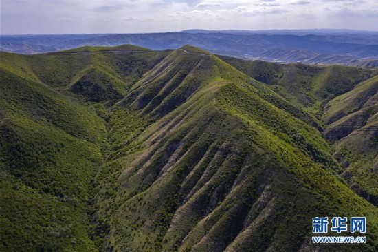 ����������2����Ⱦ������