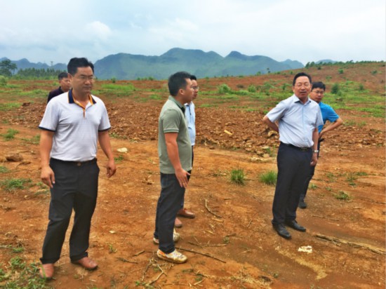 来宾市委常委,忻城县委书记李振品现场督办环保督察