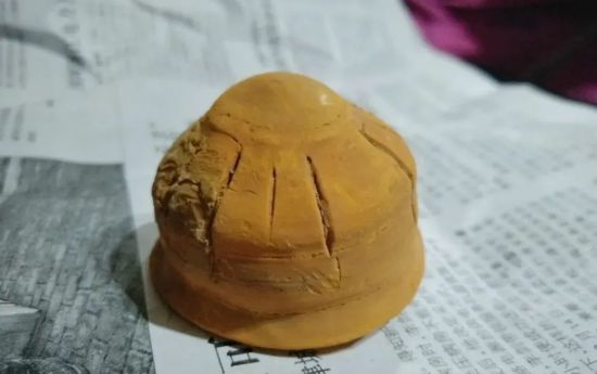 【历史合肥】探寻远古生命