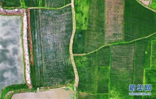 ����������1�����죺����ɽ����