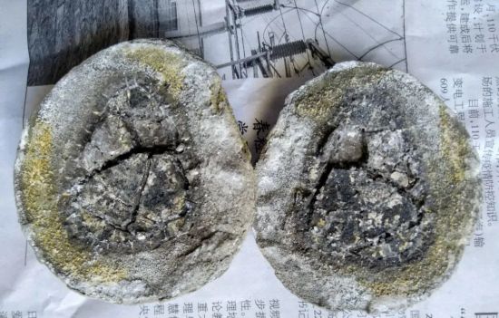 文化信息 图丨一打开后的结核石