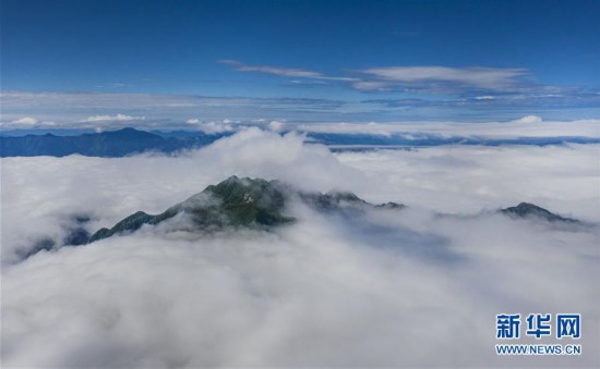 （美丽中国）（2）陕西汉中：龙头山涌云海美