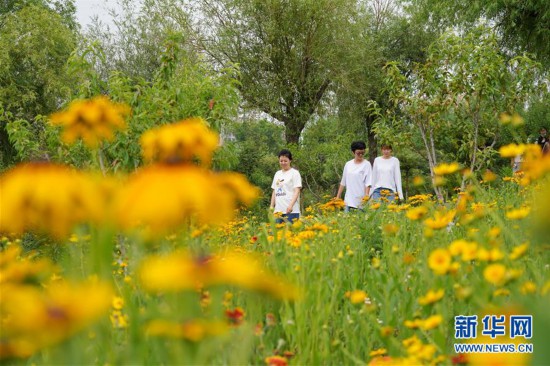 （環境）（5）河北唐山：昔日“生態瘡疤”煥發夏日“美顏”