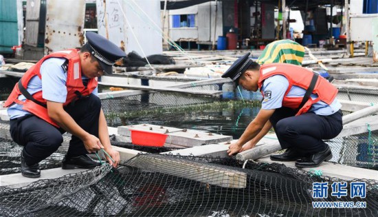 （環境）（3）海南發布台風四級預警