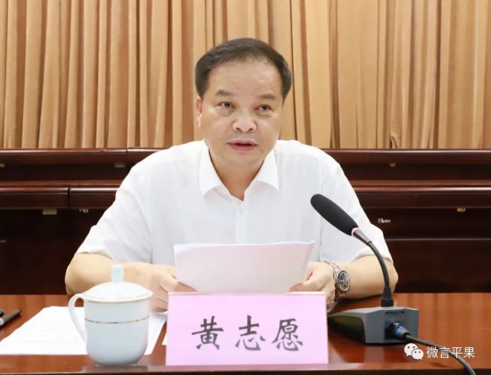 百色市人大常委会副主任,平果市委书记黄志愿讲话