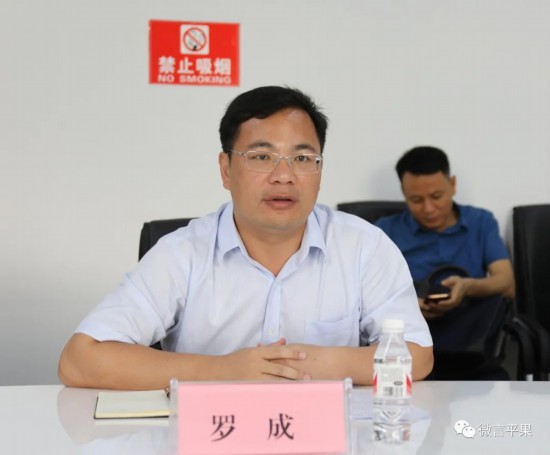 平果市委副书记,市人民政府市长罗成讲话