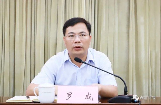 平果市人民政府市长罗成讲话