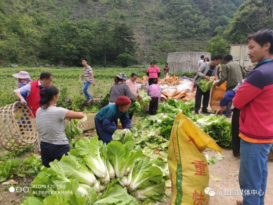 右江民族醫學院：消費扶貧助力樂業脫貧攻堅