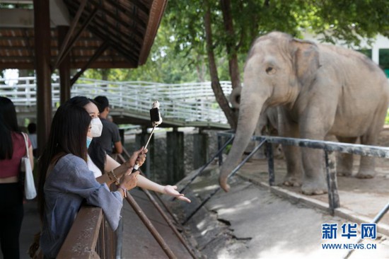 （國際疫情）（8）泰國動物園免費向民眾開放