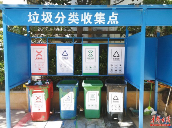 分类垃圾桶有了为啥“一包扔”仍常见