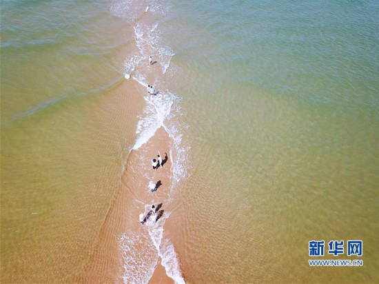 (環境)(1)“魚骨沙洲”引客來