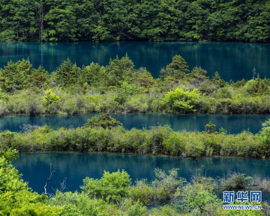 (环境)(14)大美阿坝 生态家园