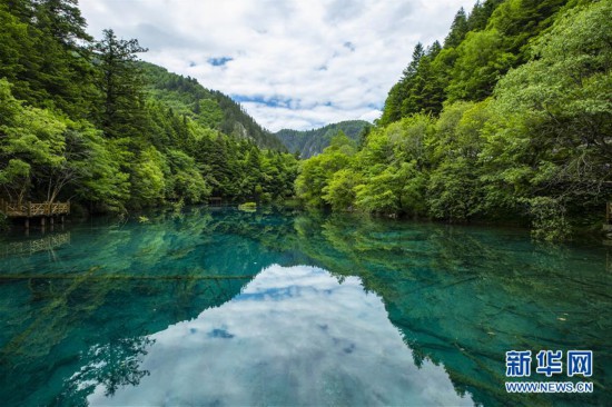 (环境)(6)大美阿坝 生态家园
