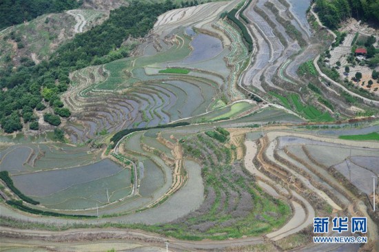（環境）（4）福建政和：保護農業生態資源 展現梯田獨特景觀