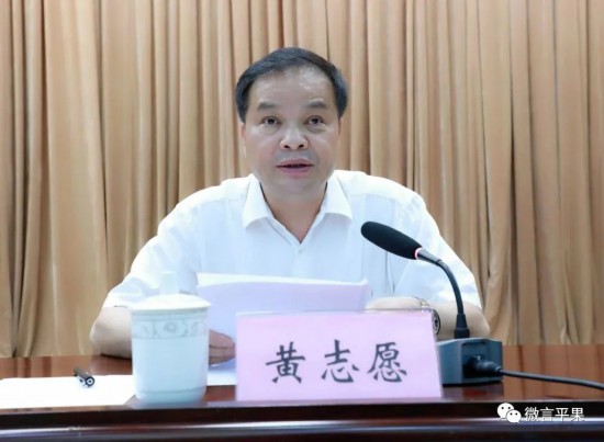 百色市人大常委会副主任,平果市委书记黄志愿讲话