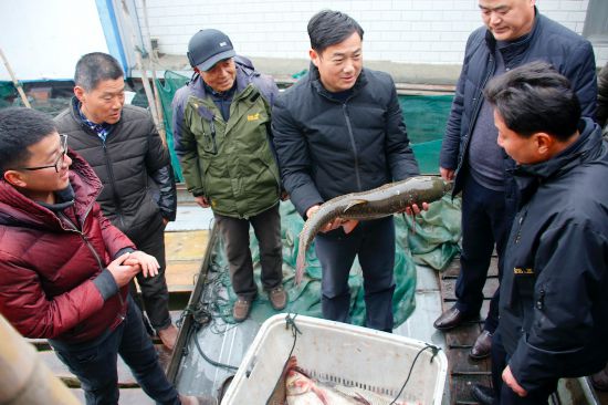 江苏金湖乡村振兴路上党旗红