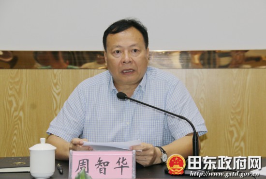 田东县人大常委会召开乡镇人大主席联席会议