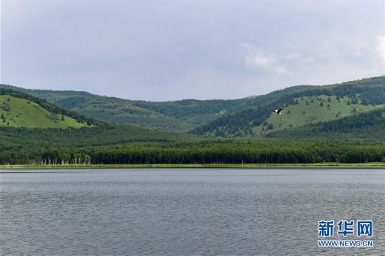 (美丽中国)(5)阿尔山夏日美景
