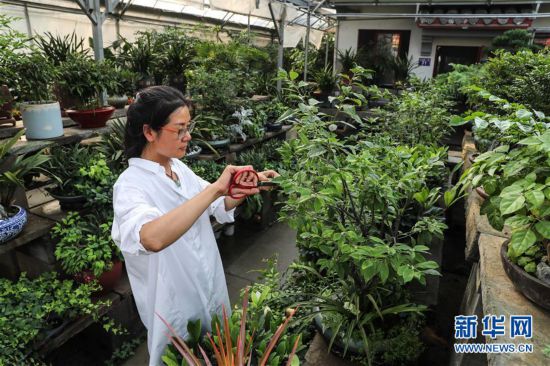 （走向我們的小康生活·圖文互動）（5）水清岸美產業興——江蘇南通小康路上的綠色實踐