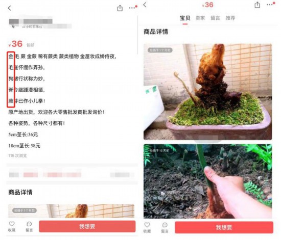 58同城旗下转转二手交易平台存在商家涉嫌售卖珍稀濒危野生植物的行为