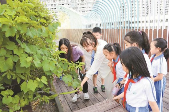 深圳推进屋顶花园建设打造国际花园城市