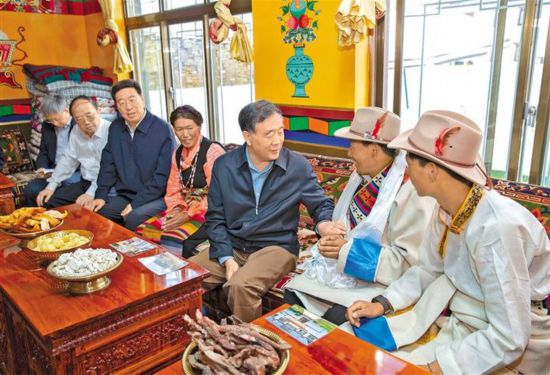 坚持和贯彻新时代党的治藏方略 推进西藏长治久安和高质量发展