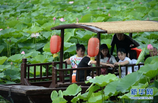 ���»��ӽ磩��5�����룺ʪ�غɻ���