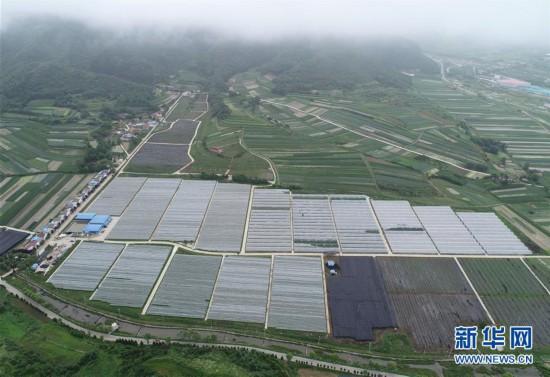 ����ᣩ��3������̫�ף���ɽũҵ��С������