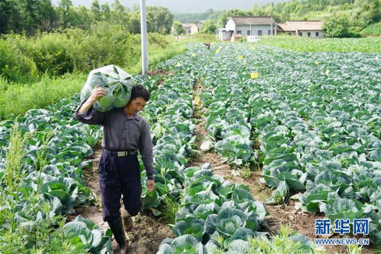 ����ᣩ��2������̫�ף���ɽũҵ��С������