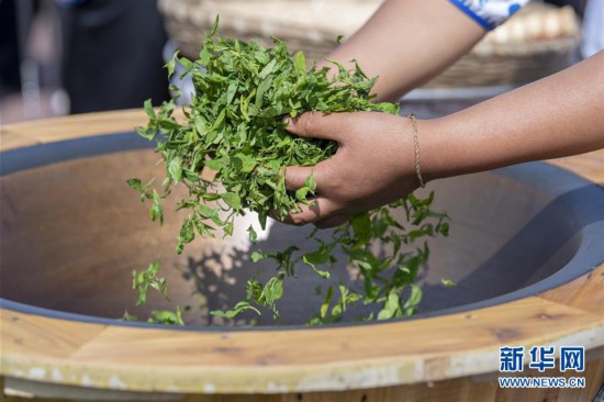 ����ᣩ��3�������� ������