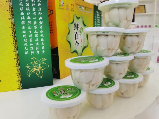 經過深加工后的鮮百合，可開蓋即食。據介紹，蘭州百合味道甘甜鮮美，瓣大、肉厚、色白如玉，纖維少，銷售價格也優於其他產地的食用百合，是產區農民經濟收入的主要來源和農民脫貧、增收的支柱產業。（任妍/攝）