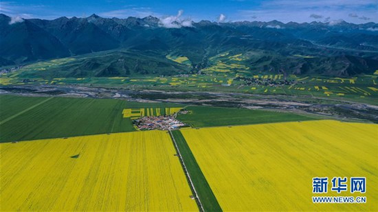 （美麗中國(guó)）（1）高原花開迎客來