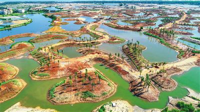 打造江東新區“后花園”俯瞰完成園林綠化種植的海口江東新區邁雅河區域生態修復項目示范區。【詳細】 