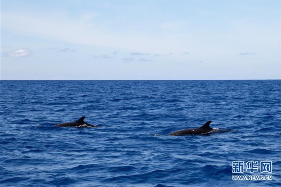 h8҇ˆTϺӛ䛵ĨL11LN