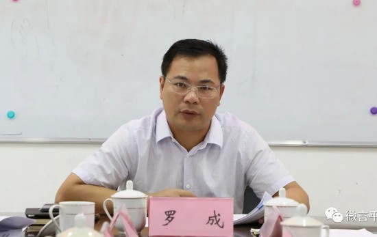 平果市人民政府市长罗成讲话