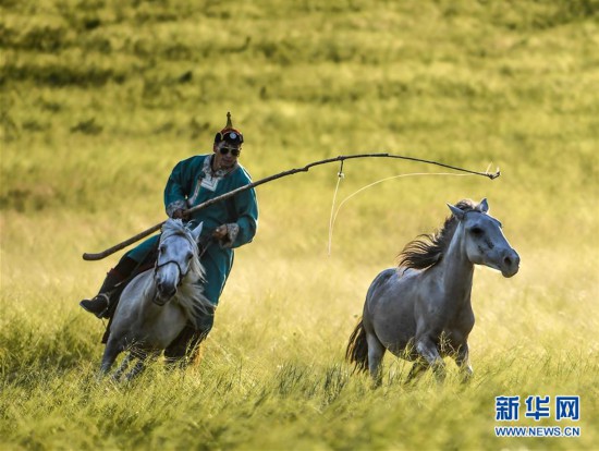 （社會）（7）盛夏草原 激情套馬