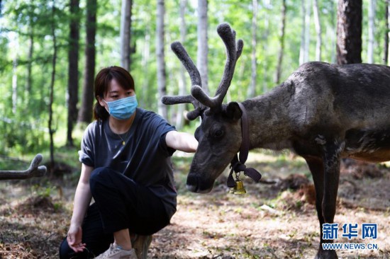 （新華全媒頭條·走向我們的小康生活·圖文互動）（9）走出山林奔小康——鄂溫克族迎來新生活