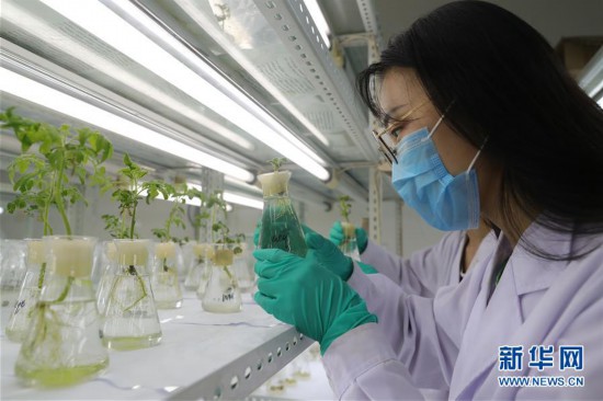 ���ر�����������2������ũ���о�������������