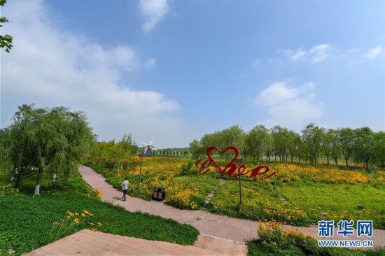 (环境)(8)吉林四平:治理辽河 生态向好