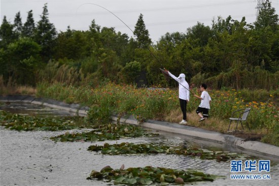 （經濟）（1）浙江湖州：香水蓮花“盤活”水產池塘